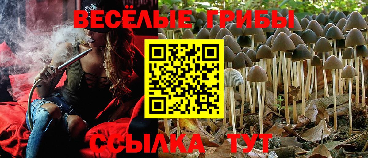 Кострома  Псилоцибиновые грибы мухоморы  Вход с VPN  Псилоцибиновые грибы мухоморы 